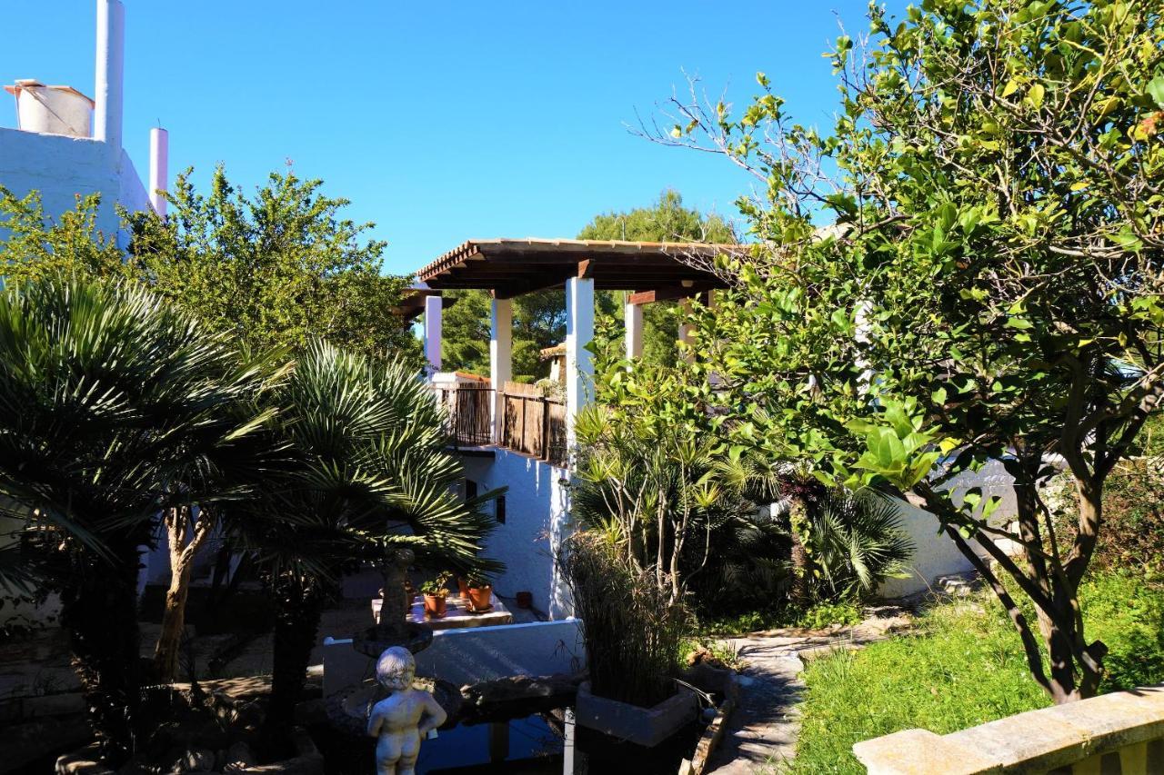 Finca La Siesta - Villa In Betlem, Mallorca 콜로니아 데 산 페드로 외부 사진